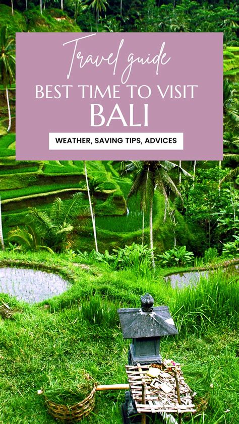 Best & Worst Times to Visit Bali 2024 (First.